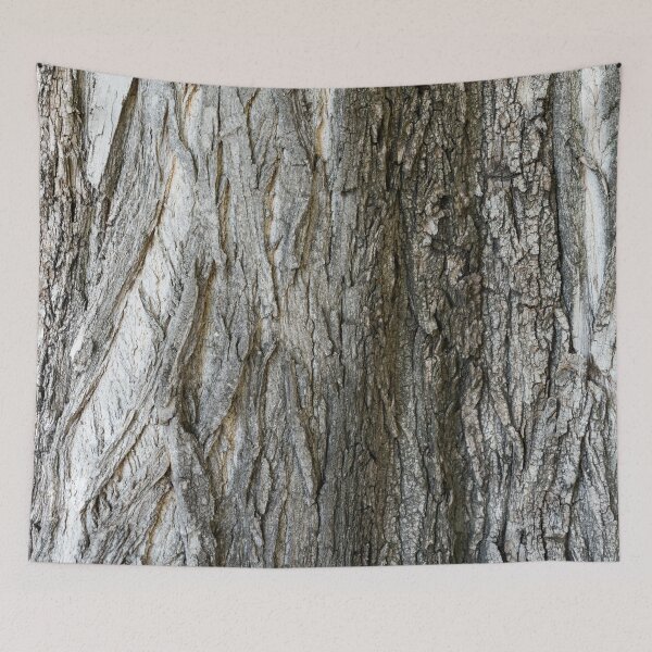 Item preview, Centennial Cottonwood Sculpted Tree Bark designed and sold by Georgia Mizuleva.