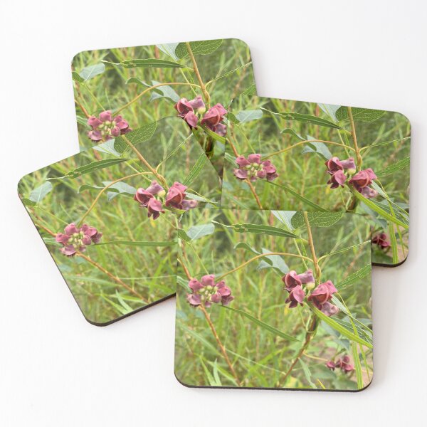 Item preview, Apios americana flower - rosary potato designed and sold by carineavecunc.