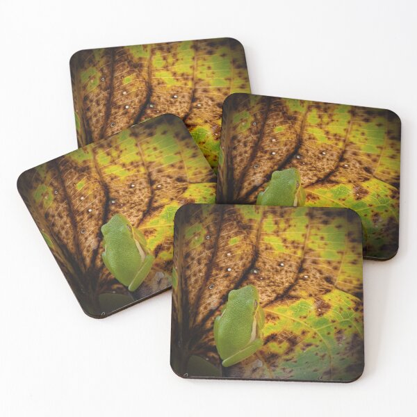 Item preview, Green Treefrog and Fall Foliage  designed and sold by Shannon Emmel .
