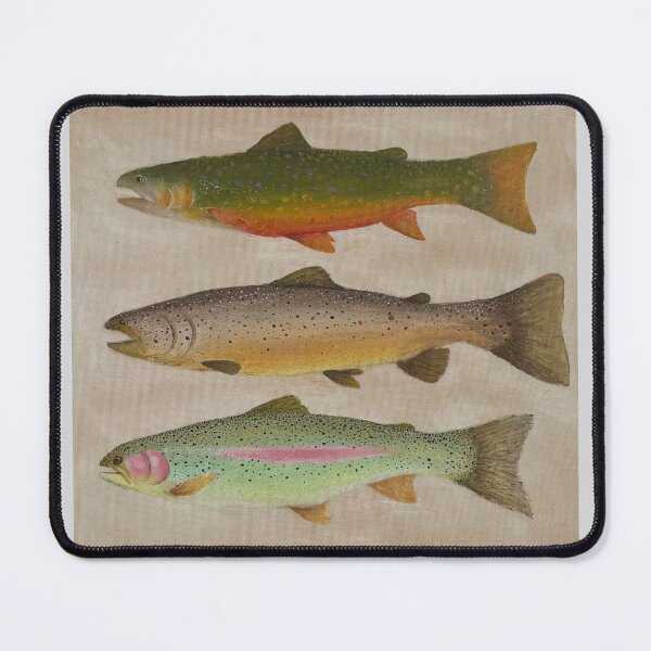 Item preview, Trout painting designed and sold by OutdoorDesign.