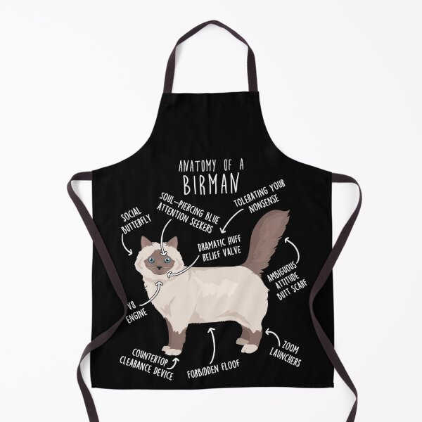 Item preview, Blue Point Birman Cat Anatomy designed and sold by Clara Hollins.