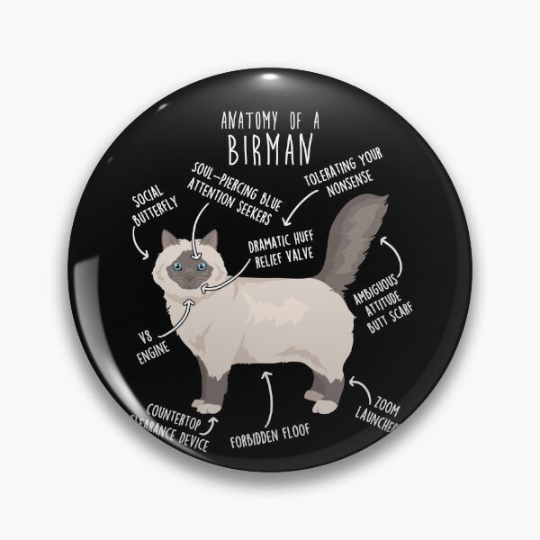 Item preview, Lilac Point Birman Cat Anatomy designed and sold by Clara Hollins.