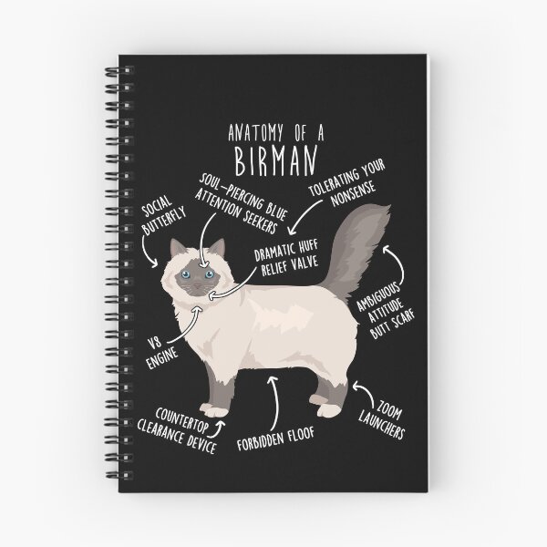 Item preview, Lilac Point Birman Cat Anatomy designed and sold by Clara Hollins.