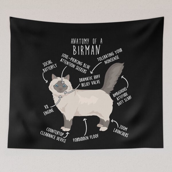Item preview, Lilac Point Birman Cat Anatomy designed and sold by Clara Hollins.