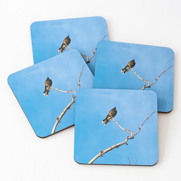 Item preview, Magpie at Daybreak on Bare Tree Branch designed and sold by Mary Prema Art.