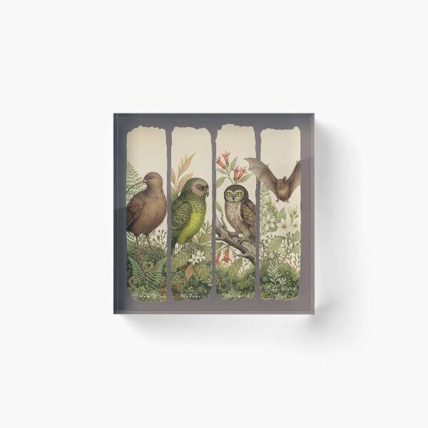Item preview, Aotearoa Night Chorus – Kiwi, Kākāpō, Ruru & Pekapeka designed and sold by MvuuStudio.