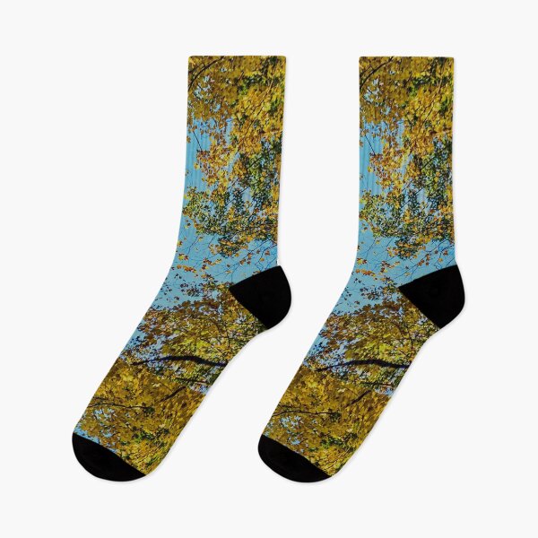 Item preview, Autumn Canopy – Golden Leaves Against Blue Sky Nature Photography designed and sold by aadventures.