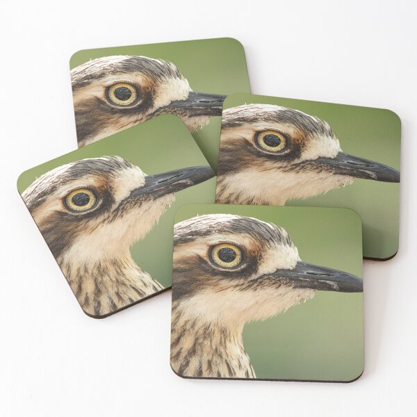Item preview, Bush stone-curlew designed and sold by robdwildlife.