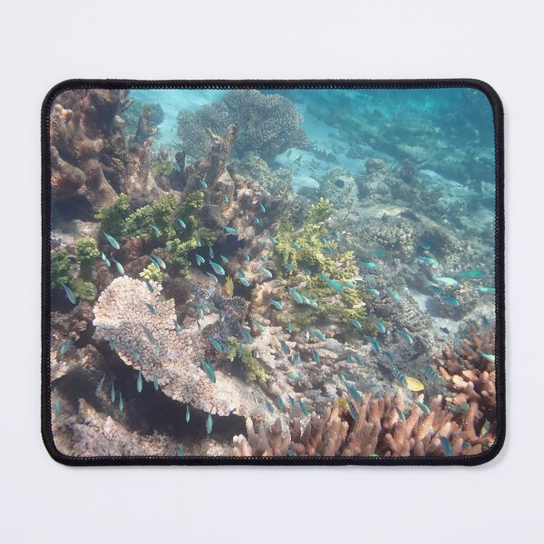 Item preview, Coral Bay, Ningaloo Reef, Western Austalia designed and sold by Life Images by Jill .