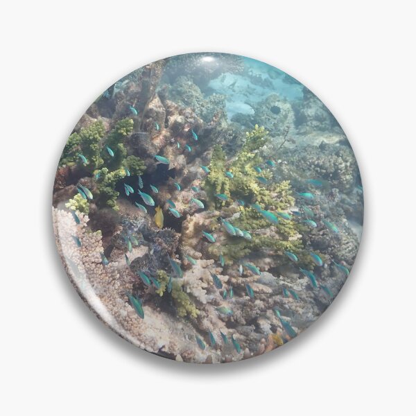 Item preview, Coral Bay, Ningaloo Reef, Western Austalia designed and sold by Life Images by Jill .