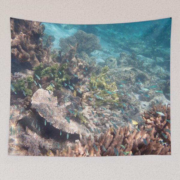 Item preview, Coral Bay, Ningaloo Reef, Western Austalia designed and sold by Life Images by Jill .