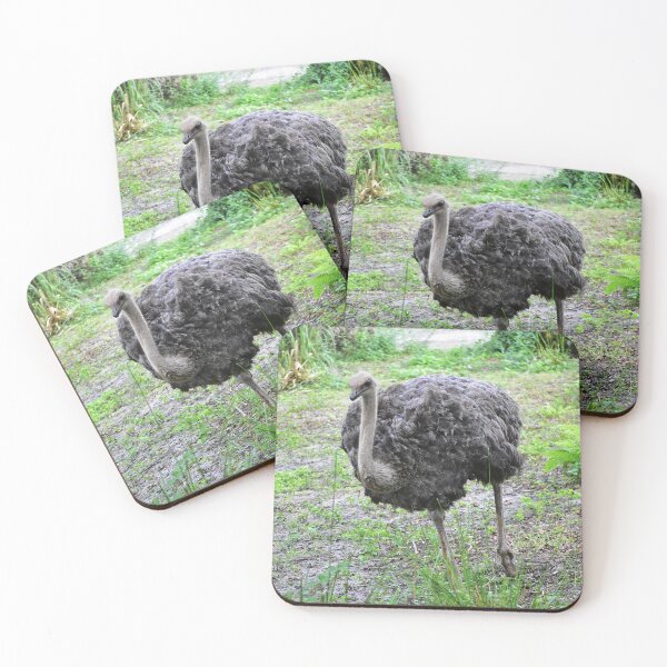 Item preview, Ostrich Walking in Greenery designed and sold by MercerImages.