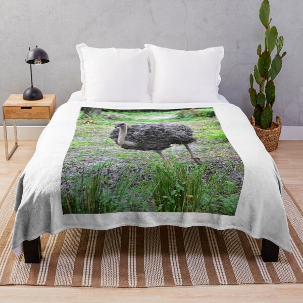Item preview, Ostrich Walking in Greenery designed and sold by MercerImages.