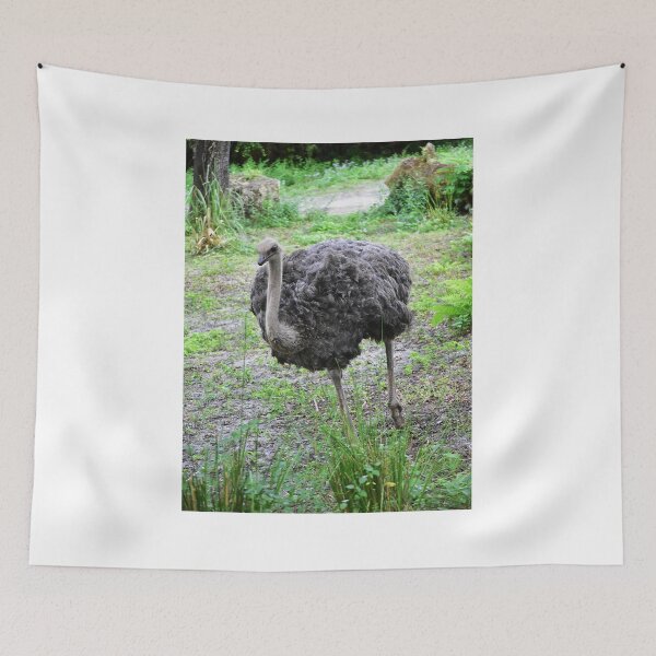 Item preview, Ostrich Walking in Greenery designed and sold by MercerImages.