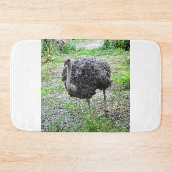 Item preview, Ostrich Walking in Greenery designed and sold by MercerImages.