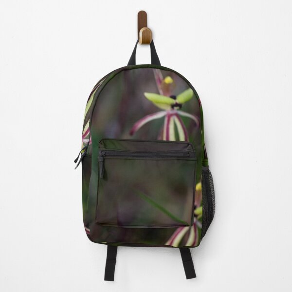 Item preview, Clown orchids, Caladenia roei, Western Australia designed and sold by Life Images by Jill .