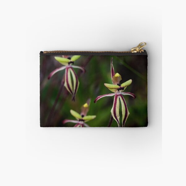 Item preview, Clown orchids, Caladenia roei, Western Australia designed and sold by Life Images by Jill .