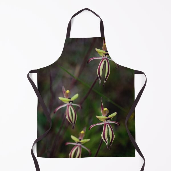 Item preview, Clown orchids, Caladenia roei, Western Australia designed and sold by Life Images by Jill .