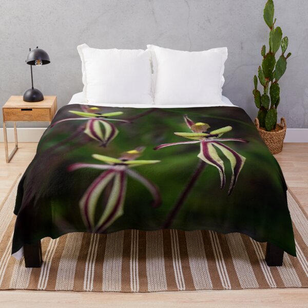 Item preview, Clown orchids, Caladenia roei, Western Australia designed and sold by Life Images by Jill .