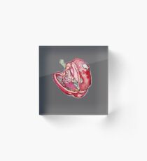 red pepper Acrylic Block