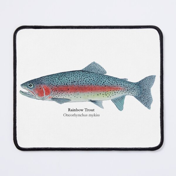 Item preview, Rainbow Trout Painting designed and sold by Stephen Emms.
