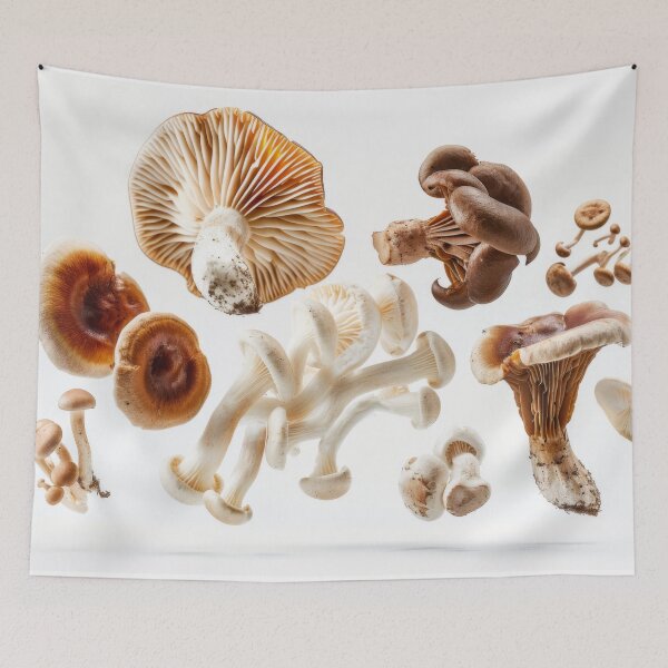 Item preview, Various mushrooms floating in mid-air on white background, AI Generated designed and sold by dvoevnore.