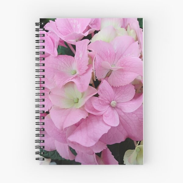 Item preview, Inflorescencias de hydrangea macrophylla. Fondo de hortensia floral rosa designed and sold by designer437.