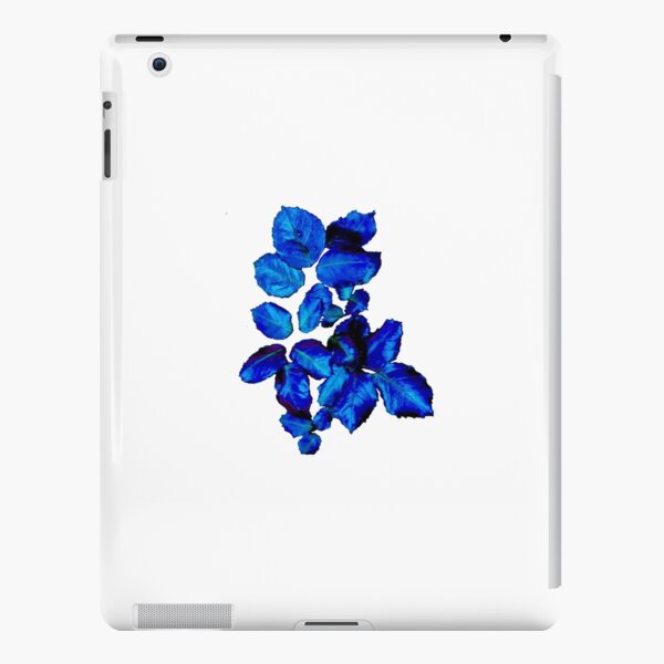 2014 Winter 2 iPad Snap Case