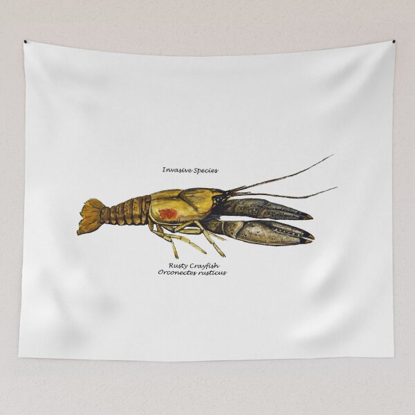Item preview, Rusty Crayfish  Invasive Species Painting designed and sold by Stephen Emms.