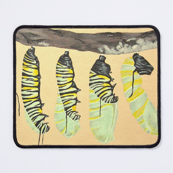Item preview, From catterpillar to chrysalis designed and sold by P. Le Sommer.