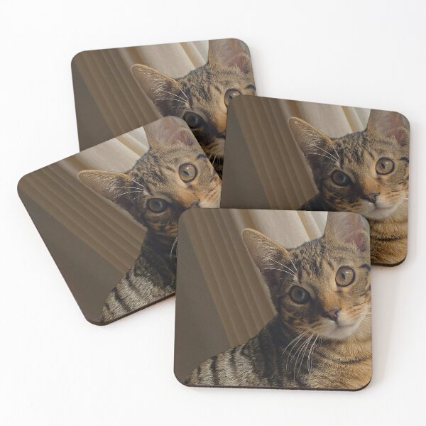 Item preview, Cute tabby designed and sold by Layla’s Photography & Prints.