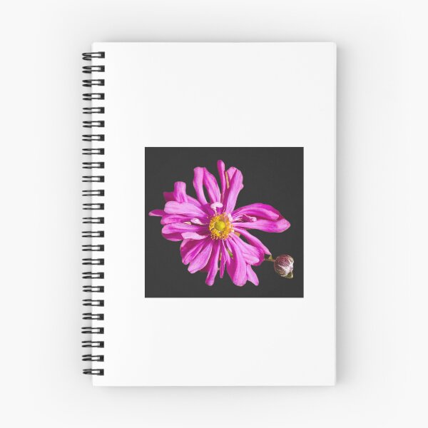 Item preview, Pink flower  designed and sold by Layla’s Photography & Prints.