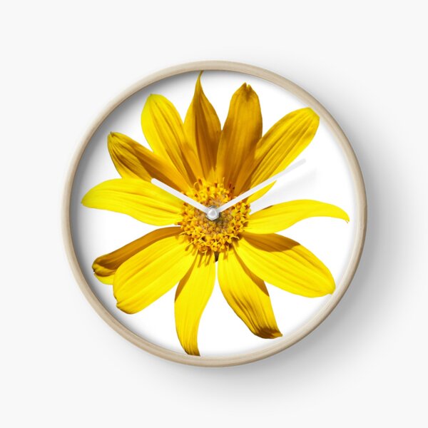 Balsamroot Clock