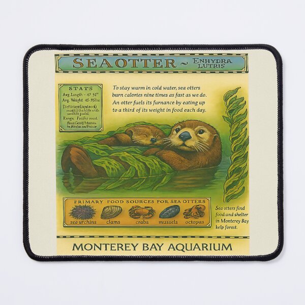 Item preview, Sea Otters Monterey Bay Aquarium designed and sold by gear-posters.