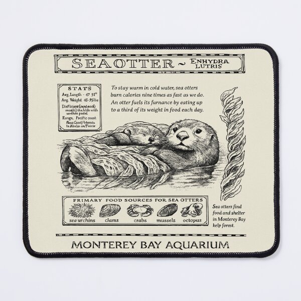 Item preview, Copy of Sea Otters Monterey Bay Aquarium designed and sold by gear-posters.