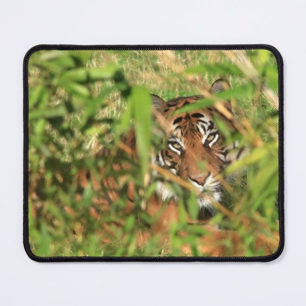 Item preview, Concealed designed and sold by missmoneypenny.