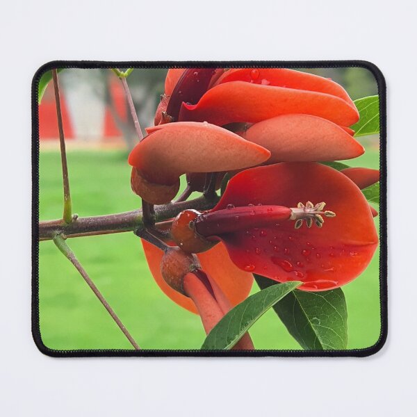 Item preview, new to me II designed and sold by Tereza Pilar Art.