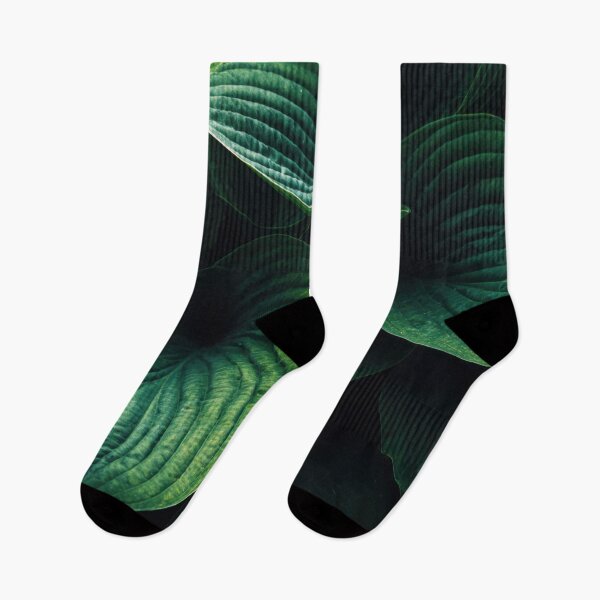 Item preview, Lush green leaves abound designed and sold by anytka.
