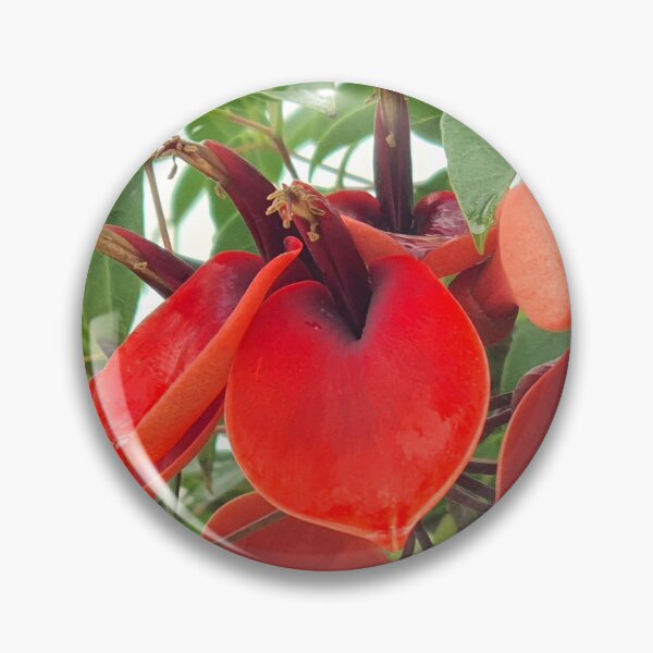 Item preview, red flower designed and sold by Tereza Pilar  Art.