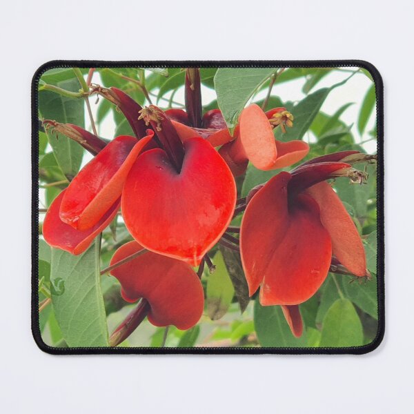 Item preview, red flower designed and sold by Tereza Pilar Art.