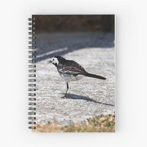 Item preview, Hopping wagtail designed and sold by GreyFeatherPhot.