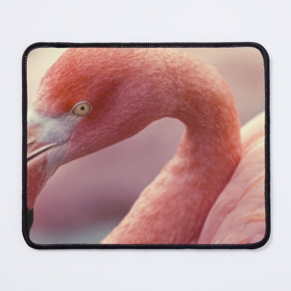 Item preview, Close view of pink flamingo designed and sold by anytka.