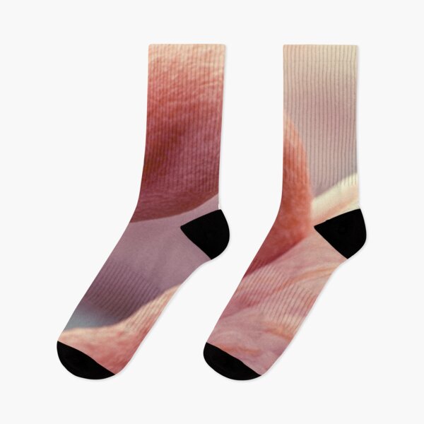 Item preview, Close view of pink flamingo designed and sold by anytka.