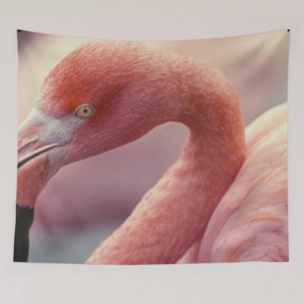 Item preview, Close view of pink flamingo designed and sold by anytka.