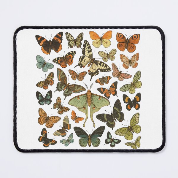 Item preview, Vintage Butterfly and Moth Collection Illustration designed and sold by ArtfulWeave.