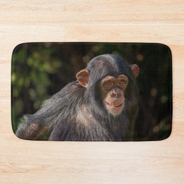 Item preview, Playful Soul – Baby Chimpanzee Close-Up designed and sold by rawshutterbug.