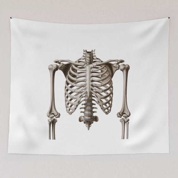 Item preview, Halloween Realistic Skeleton designed and sold by ArtQueen777.