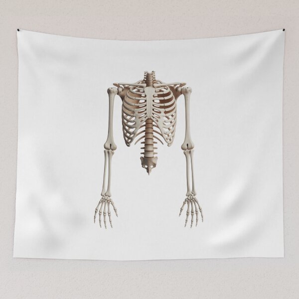 Item preview, Realistic Skeleton for Halloween designed and sold by ArtQueen777.