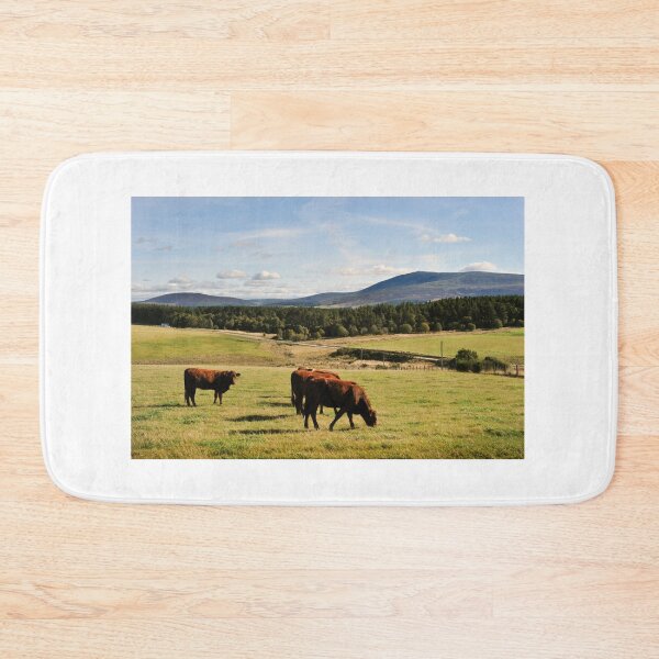 Item preview, Late evening grazing near the cottage, Moray, Scotland designed and sold by Richard Flint.