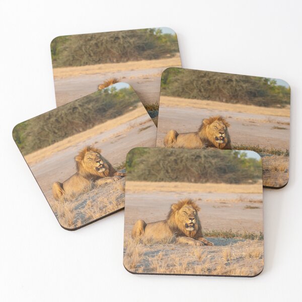Item preview, Sekoti at Sundown — Northern Pride, Savuti designed and sold by DavideAntoniani.